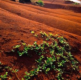 《赛博朋克2077：往日之影》2.02更新现已上线