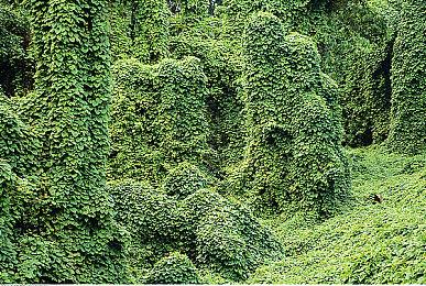 《上古卷轴4》虚幻5重制似乎有了新的证据