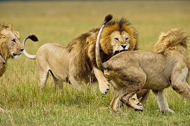 迎接新世代游戏体验！ Powin microSD EXPRESS记忆卡公布发售时间